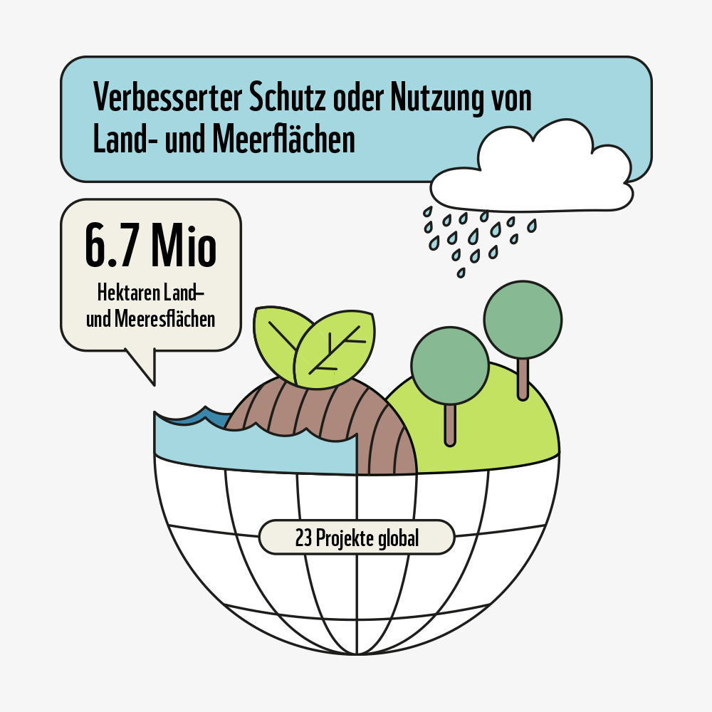 WWF – Wirkungszahlen 2025